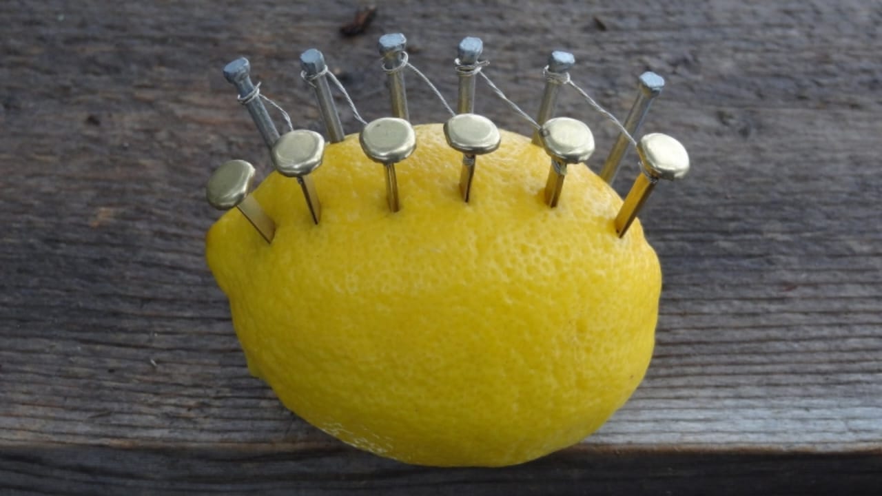 Doce clavos en un limón