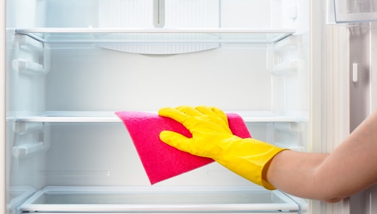 Donna pulisce frigo
