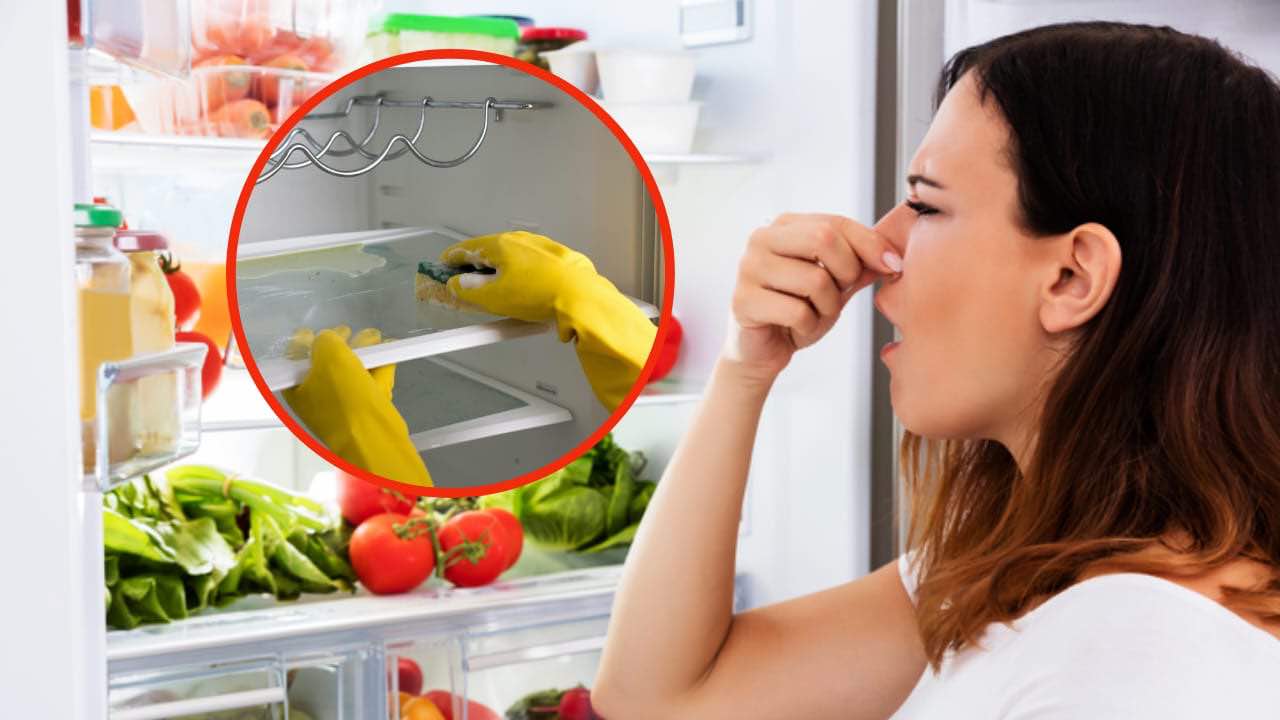 Come risolvere un problema con il filtro anti-odore del frigorifero