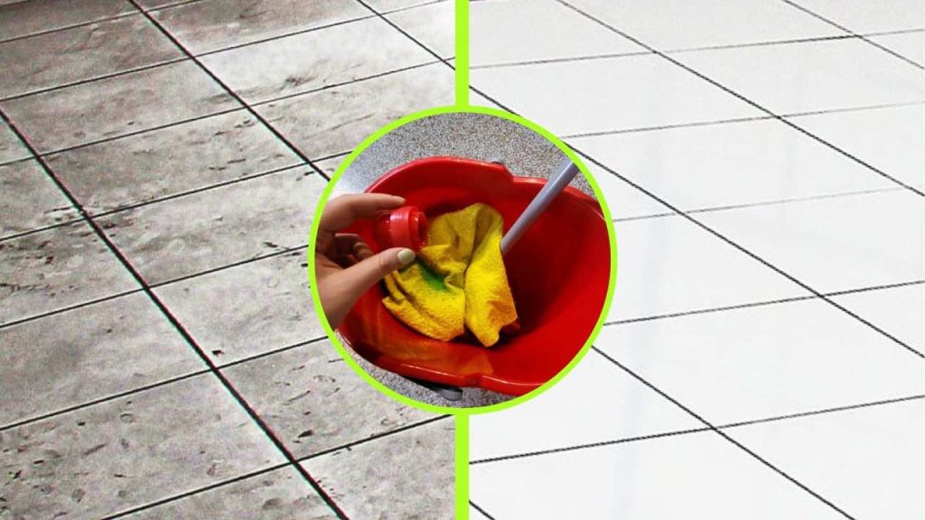 Legno Di Cholla Per Acquari 10 Pezzi Di Legno Di Cholla Grande (15 Cm) Puliti - Per Acquari, Piante Aeree, Progetti Artigianali Rami Cholla Puliti Artigianato - Foto 7