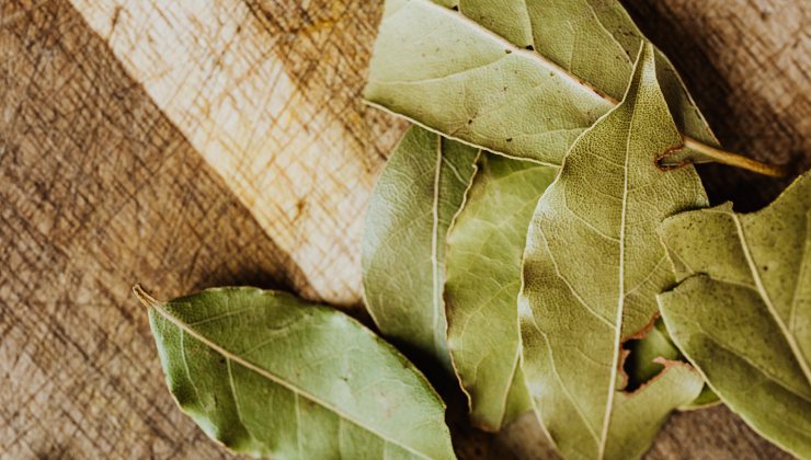 Bay leaves