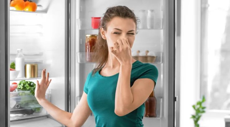 mauvaises odeurs dans le réfrigérateur