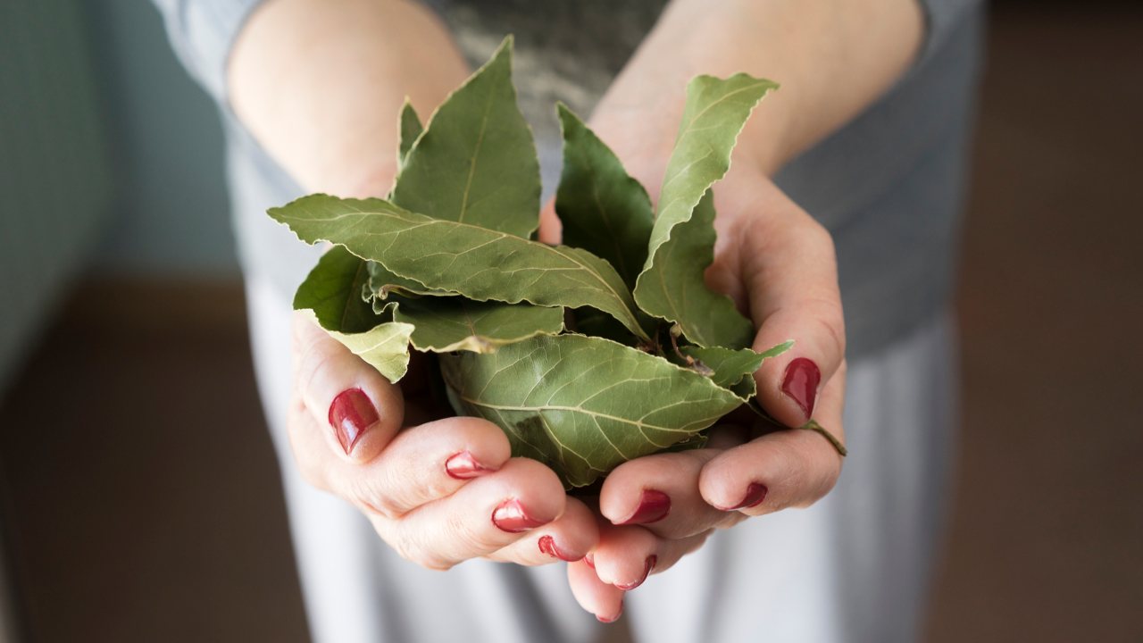 Bay leaves under the pillow