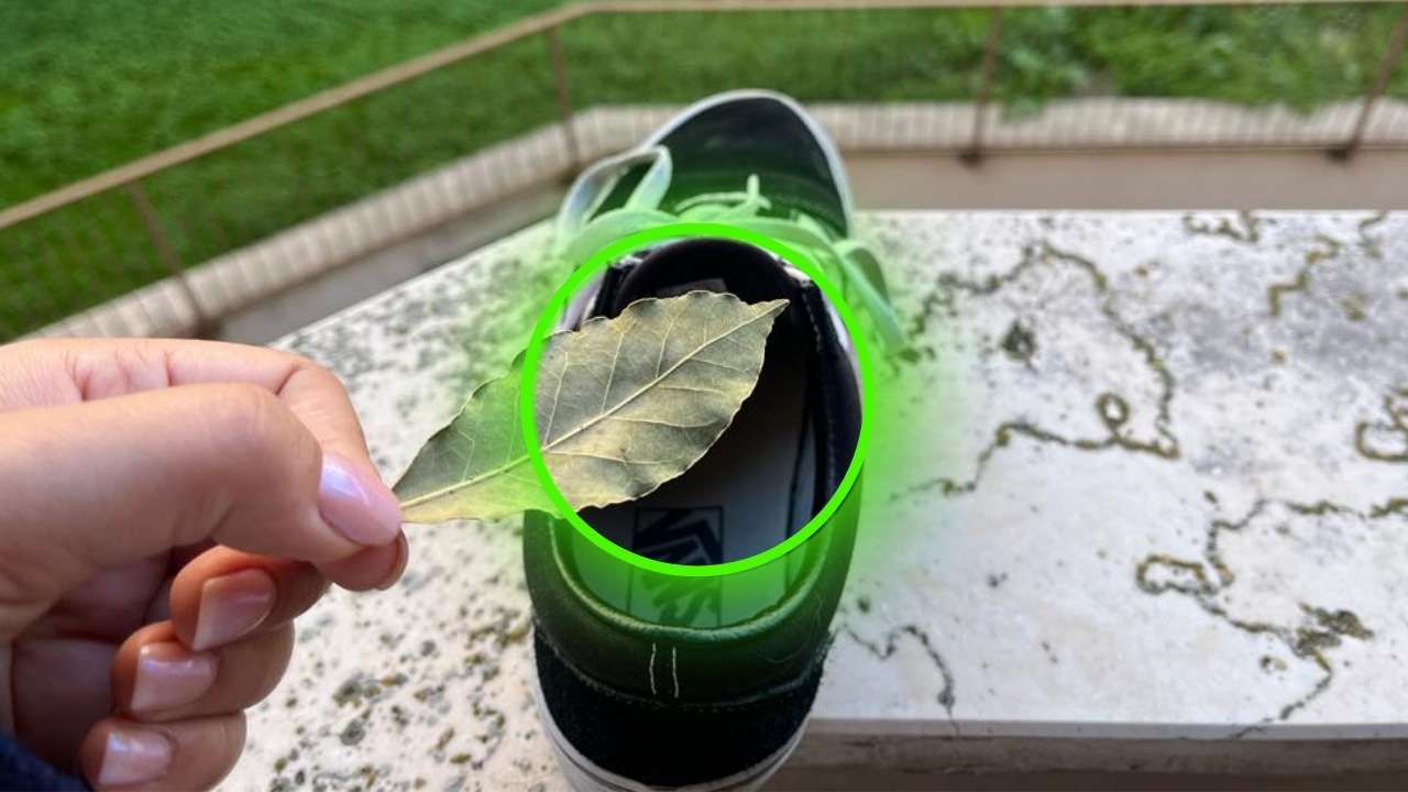 Des feuilles dans tes chaussures