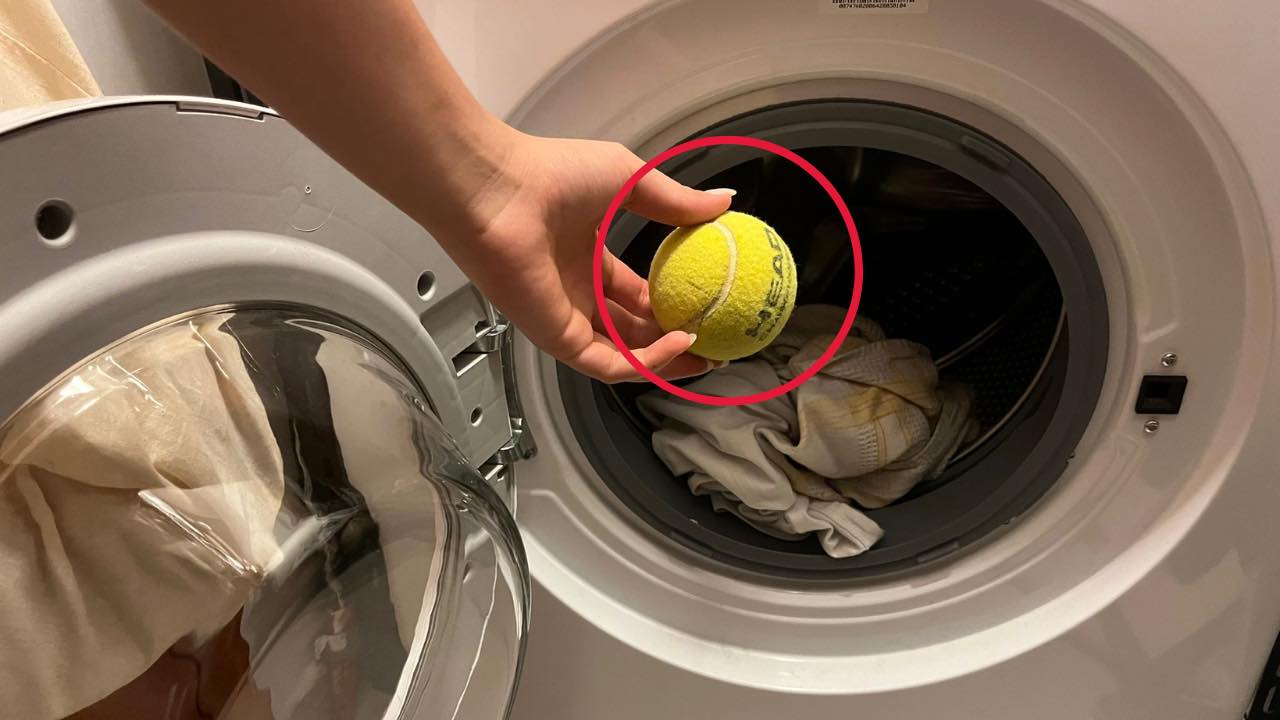 balle de tennis dans la machine à laver