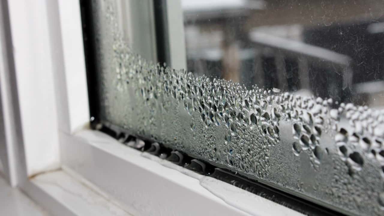 Problèmes d'humidité, fenêtre avec condensation