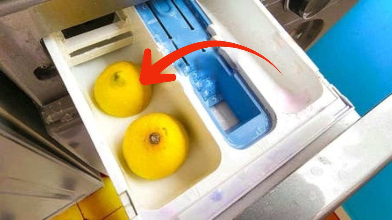 Limoni nella lavatrice