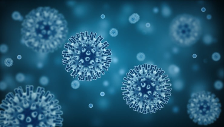 Cellula batterica o virus al microscopio