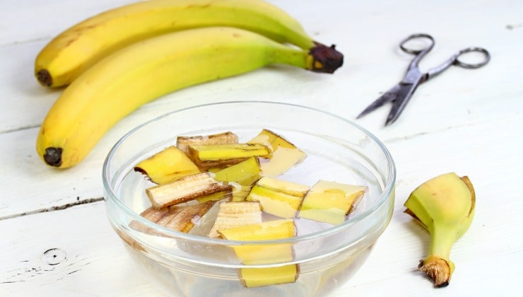 Ciotola con bucce di banane