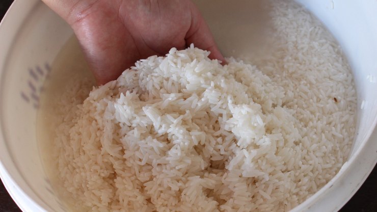 lavare il riso 