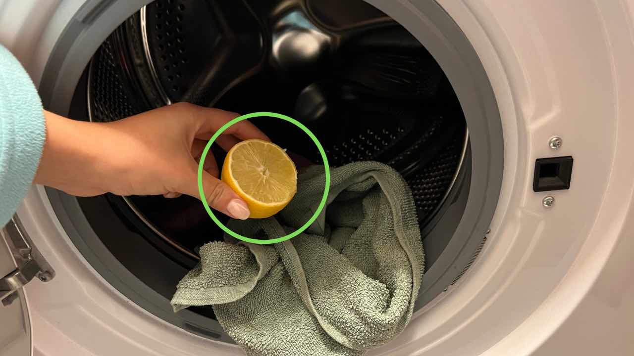 limone in lavatrice