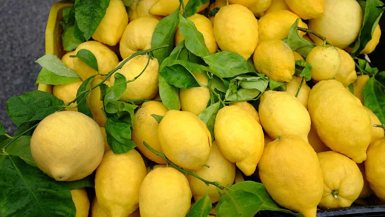 limones