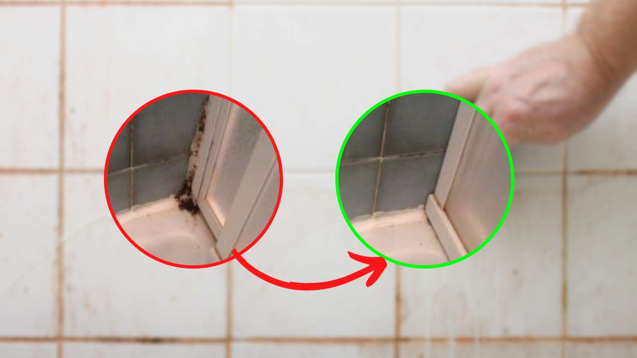 Muffa nel silicone della doccia, come sbarazzarsene in poche mosse