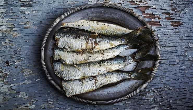 Pesce azzurro, sardine