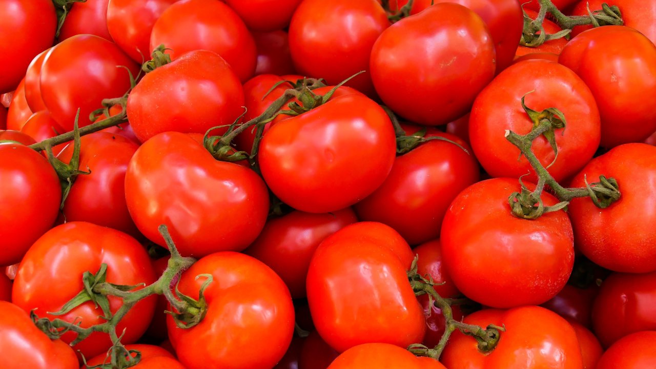 Como guardar tomates por muito tempo