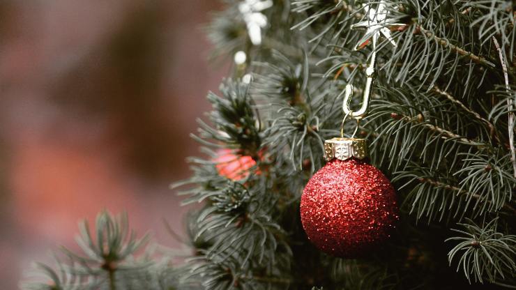 tradizione di Natale_ monetina nell'albero di Natale