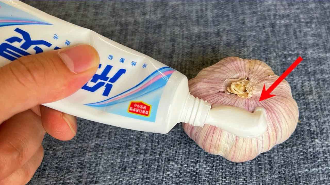 Applica il dentifricio all'aglio
