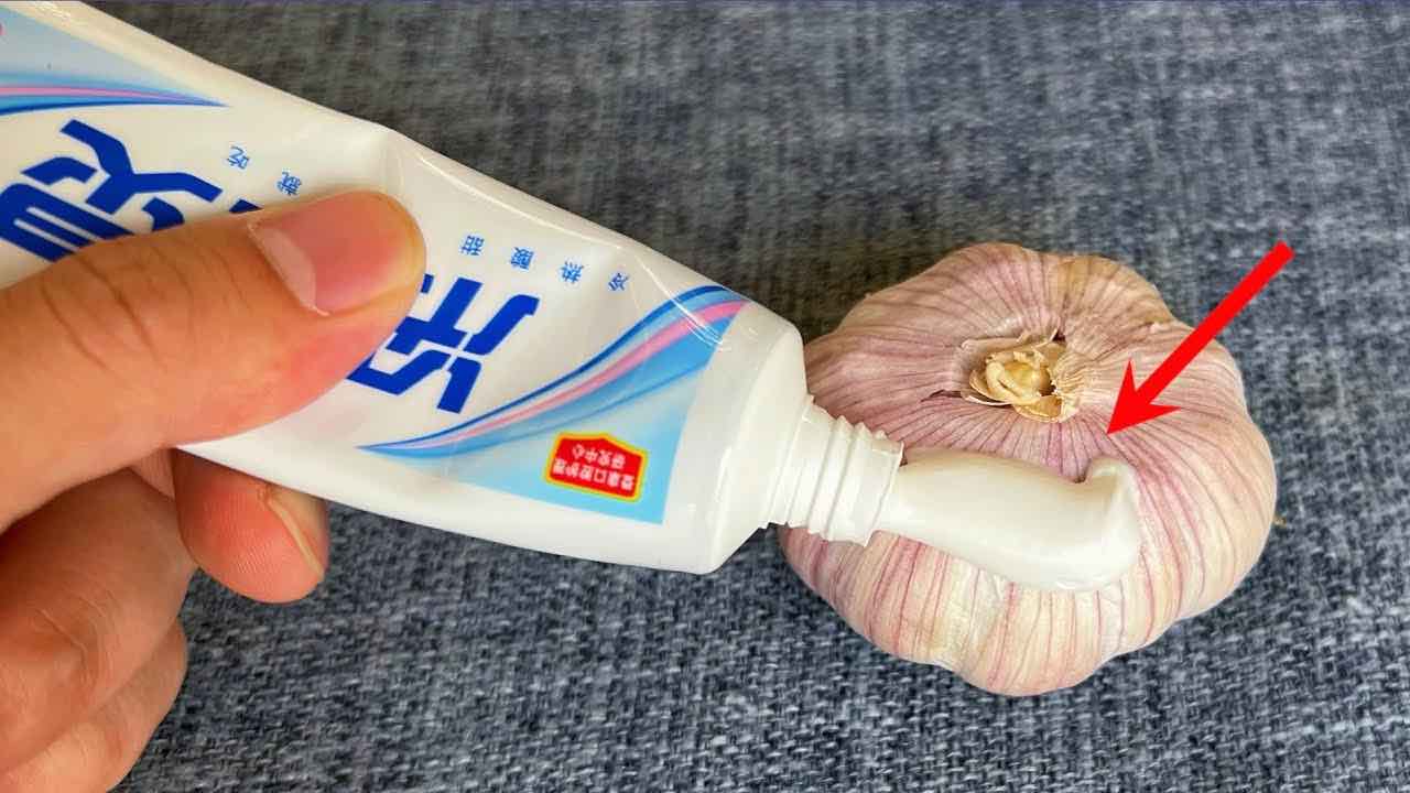 Apply garlic toothpaste