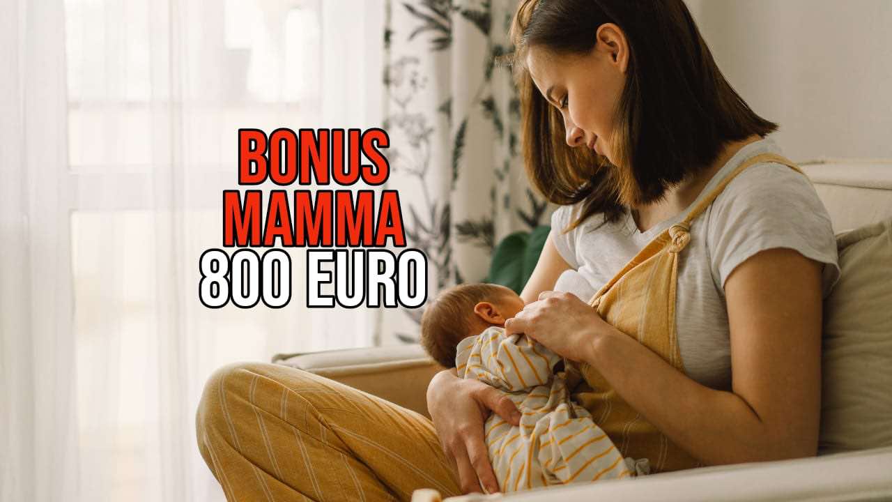 Bonus mamma