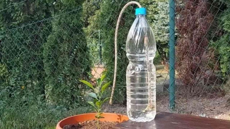 Irrigatore Per Irrigazione Da Giardino Irrigatore Portatile Strumento Per Irrigazione Da Giardino Nuovo Verde 56150243