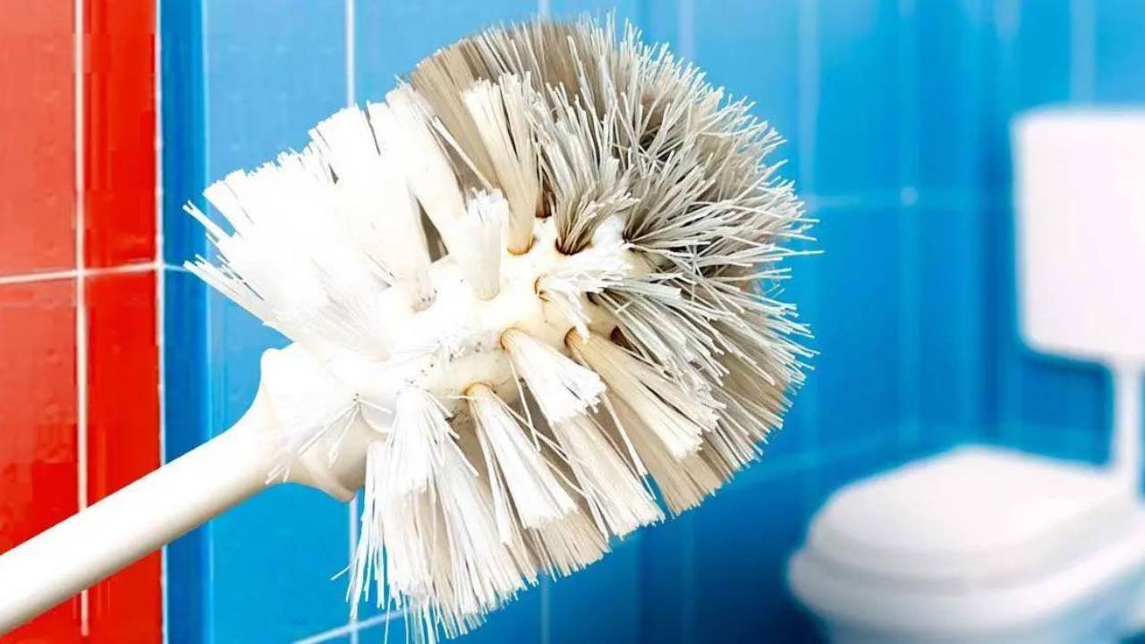 Spazzolino del WC, nasconde una valanga di batteri: solo così disinfetti  tutto