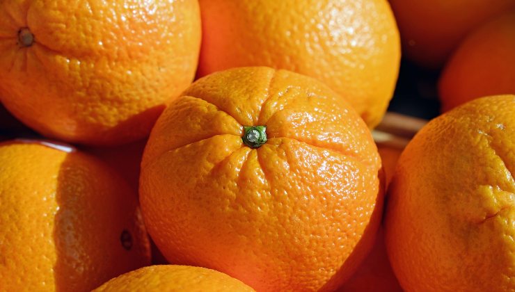 pomeranče - citrusové plody