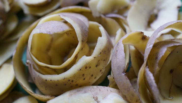épluchage de pommes de terre - engrais pour orchidées
