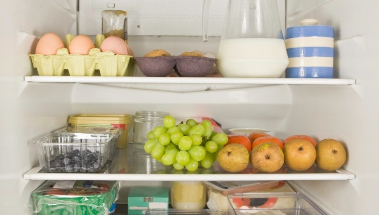 Conservare il cibo in frigorifero