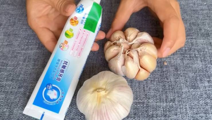 toothpaste and garlic