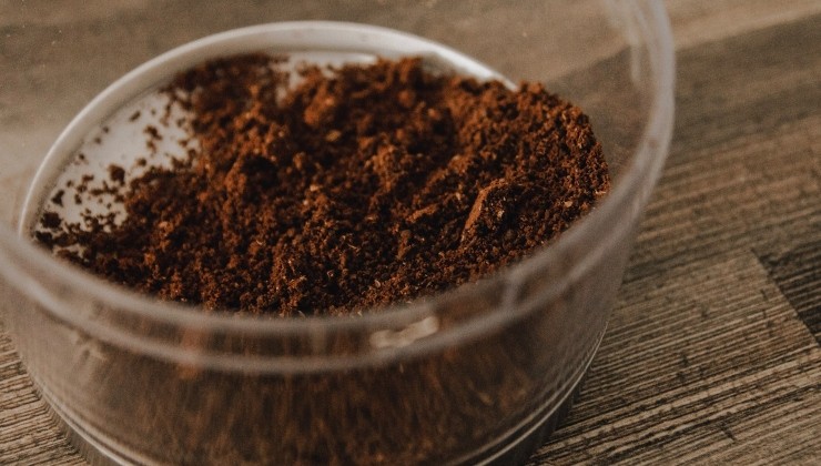 Kávová sedlina pro přírodní hnojivo