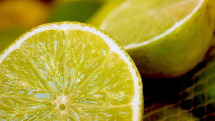 limone in frigorifero - via i cattivi odori -