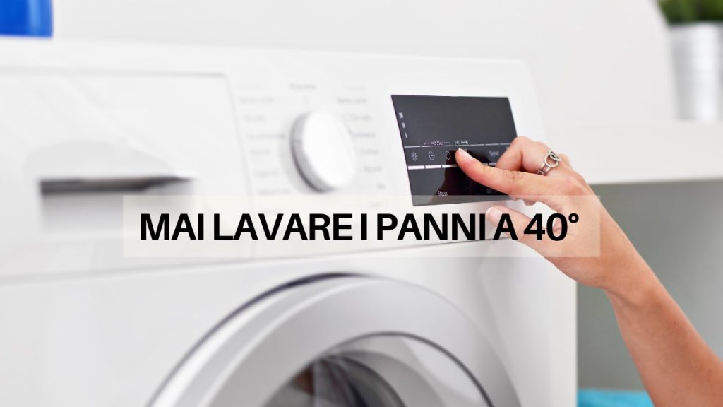 Le Pulci Muoiono In Lavatrice A 40 Gradi