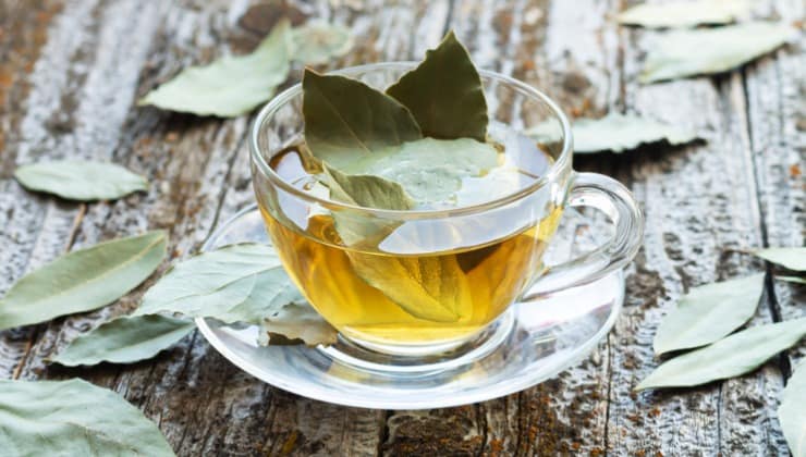 Bylinkový čaj s vavřínovými listy