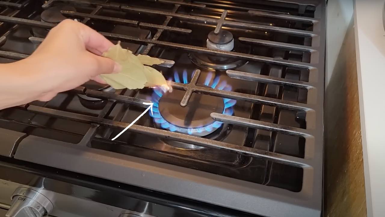 brûler du laurier sur la cuisinière