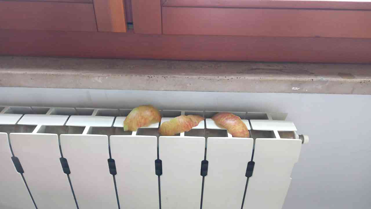 radiadores de piel de manzana