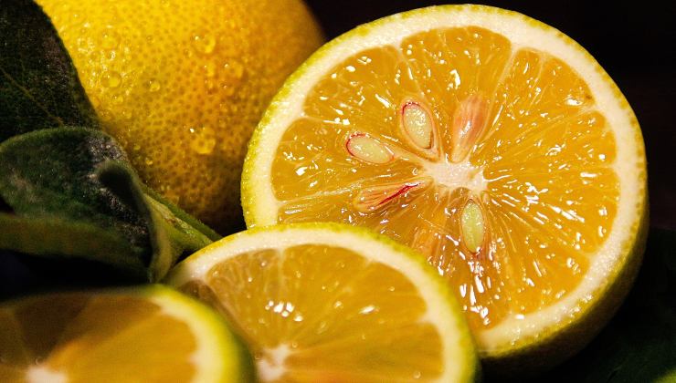 Here's how to plant lemon seeds