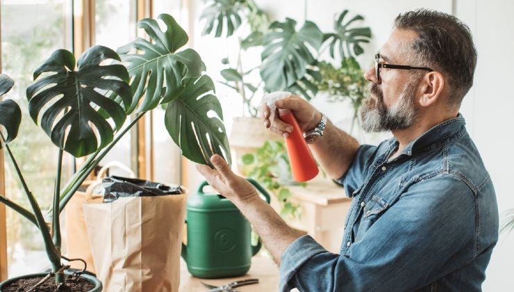 Abono natural para plantas.