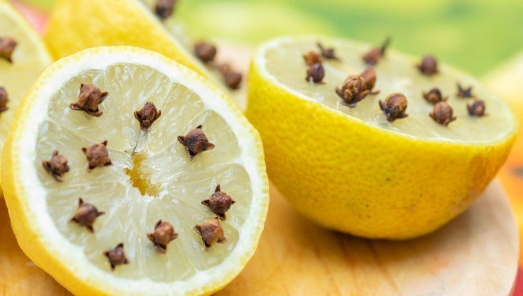 Limone e chiodi di garofano