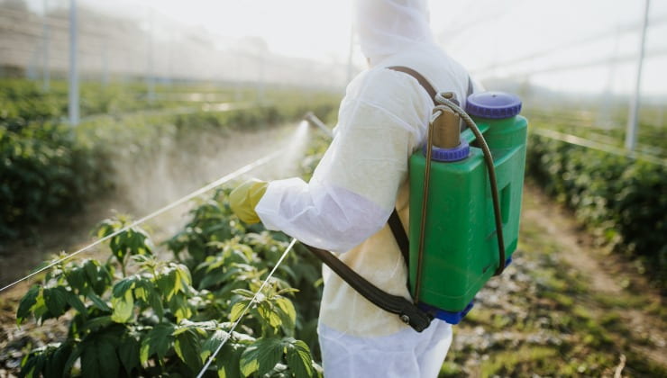 L'utilisation des pesticides dans la chaîne alimentaire
