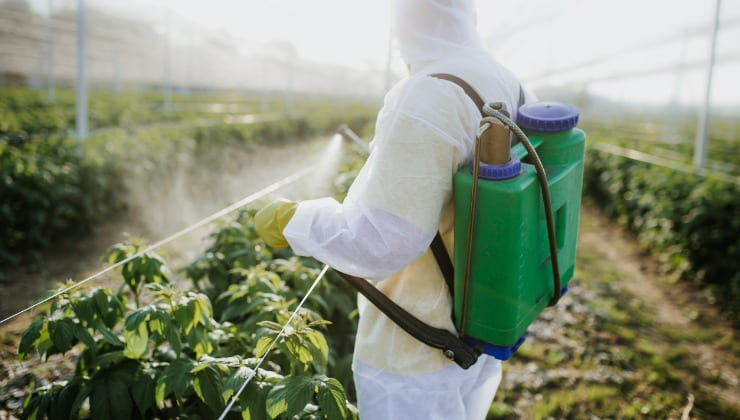 O uso de pesticidas na cadeia alimentar