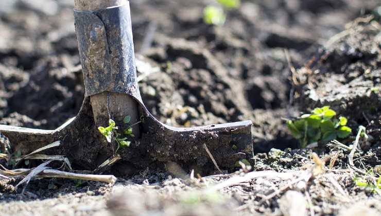 orto e giardino 