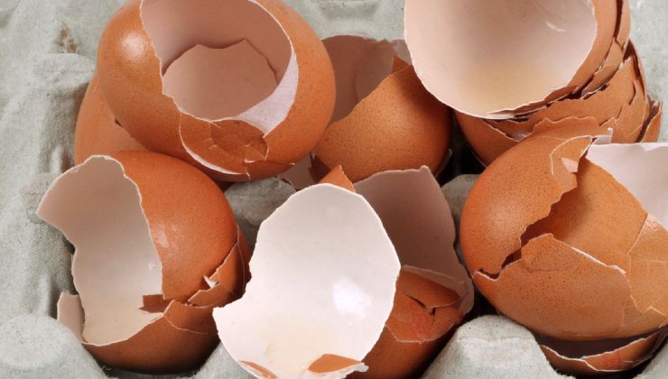recyklace vaječných skořápek