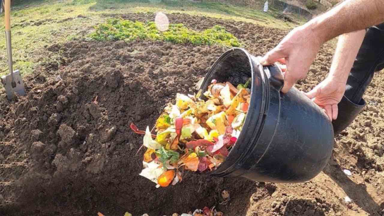 scarti di cucina nell'orto