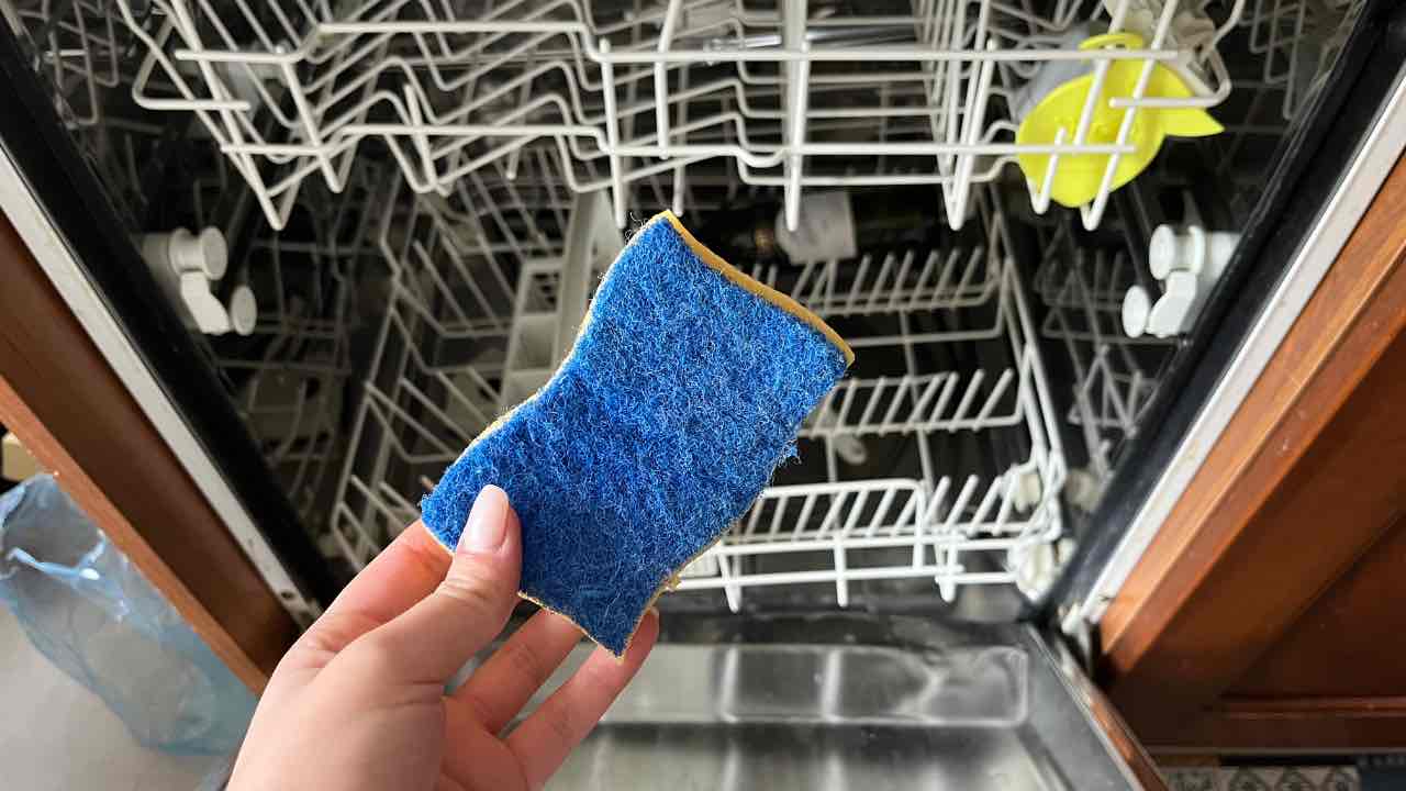 esponja en el lavavajillas