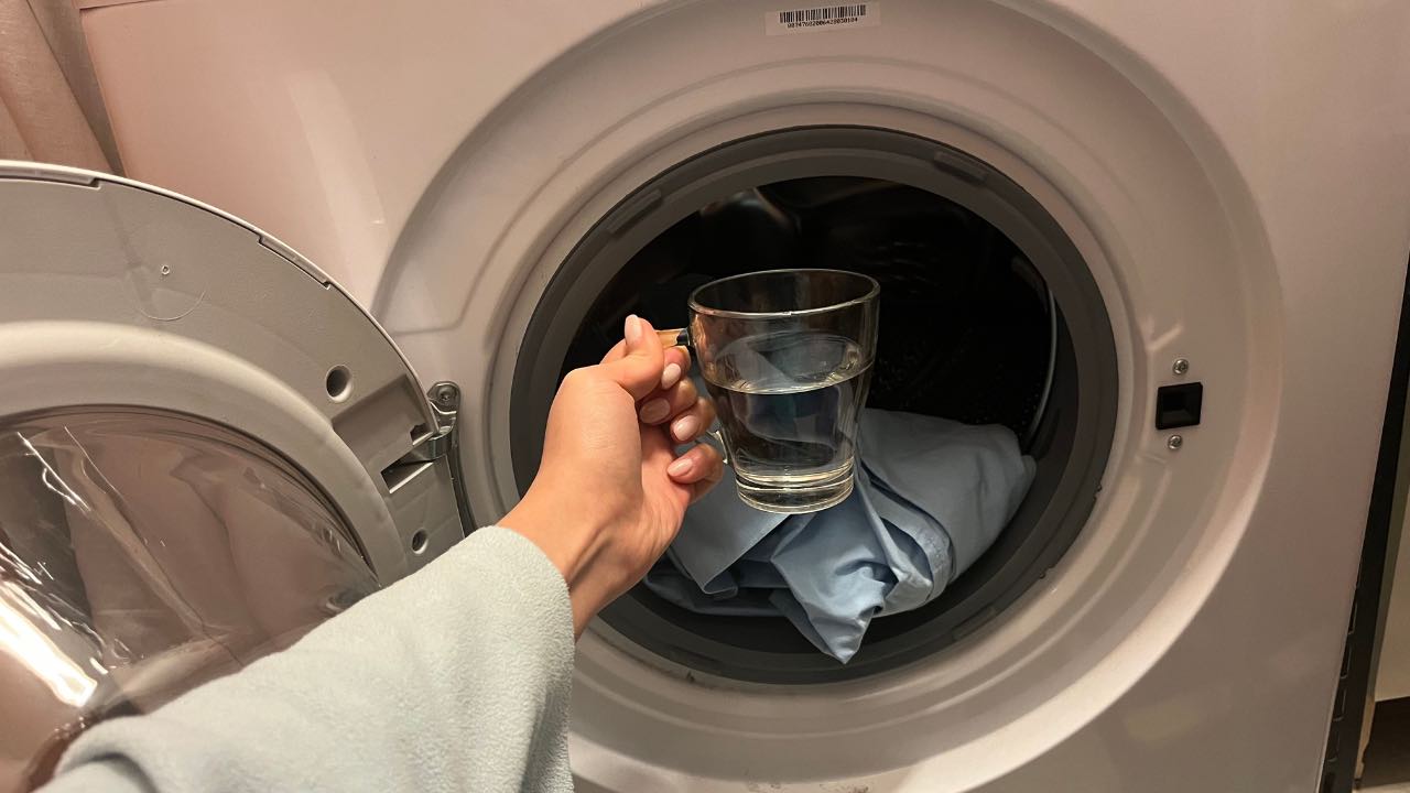 taza en la lavadora