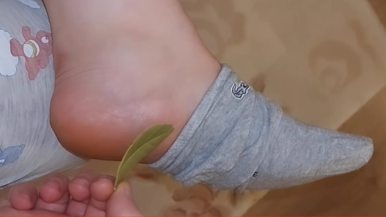 Perché mettere 3 foglie di alloro nella scarpiera, lo consigliano perfino i  calzolai