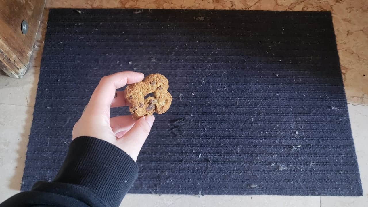 Biscotto sotto lo zerbino