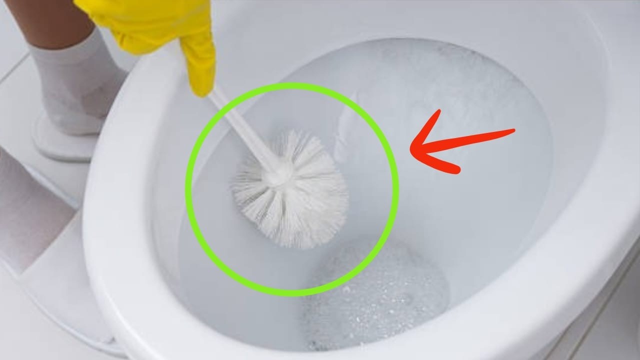 Scopino WC, è l'oggetto più sporco in casa: ecco come pulirlo e