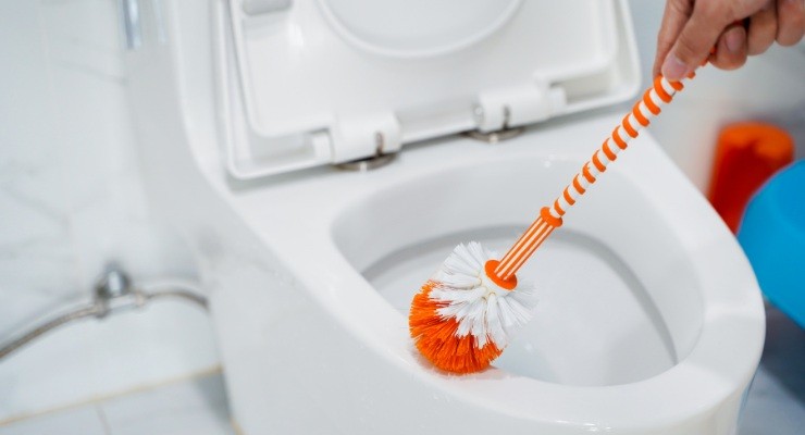 Scopino WC, è l'oggetto più sporco in casa: ecco come pulirlo e  disinfettarlo