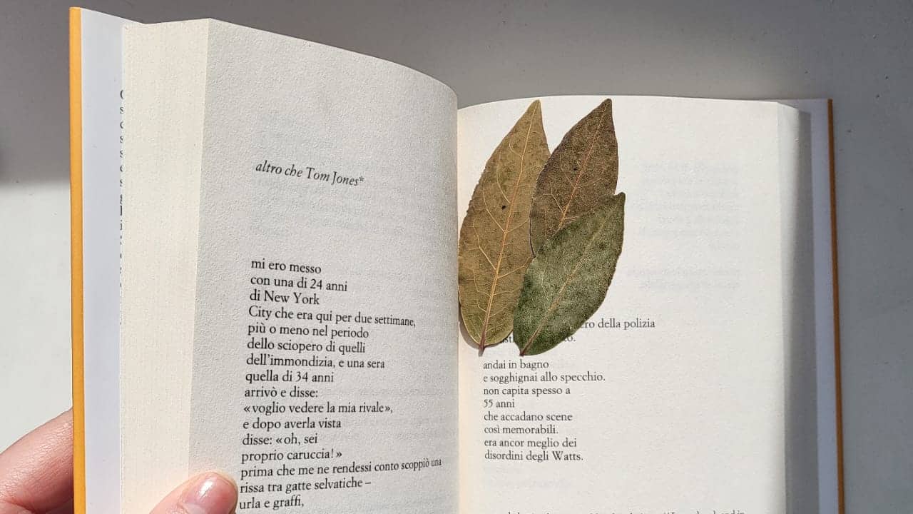 Tre foglie di alloro in un libro